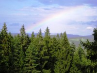 Když jsem stoupala po Stezce do korun stromů, tak mě ani nenapadlo, že uvidím duhu.