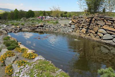 8-Arboretum Makču Pikču