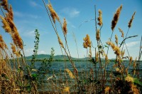 V květnu se vše začíná teprve zelenat