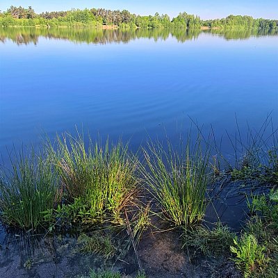 Modro-zelený pohled