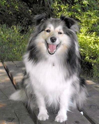 9. pod rozhlednou na Varhošti