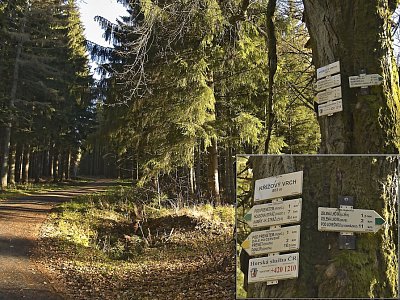 Mám za sebou 2 km stoupání, další 2 ještě musím absolvovat. To rezavé na silnici je jehličí modřínů.