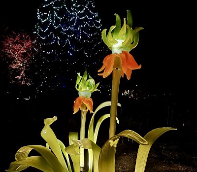 Skleněná symfonie *