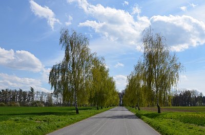 Cesta z města ......