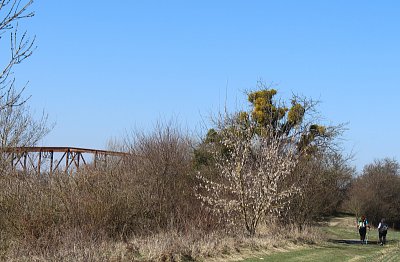 Před námi starý most