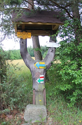 Půjdeme po červené