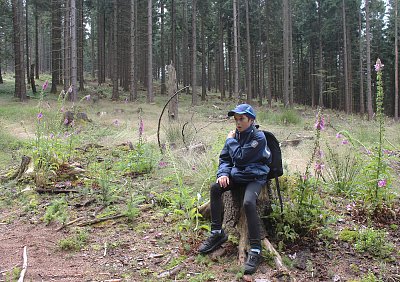 Je to ještě daleko?