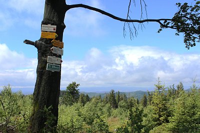 Pod Borůvkovou horou