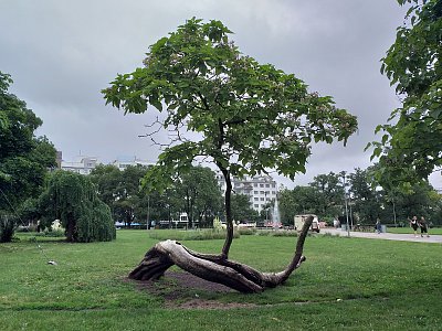 V parku na Moravském náměstí v Brně