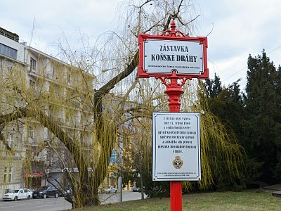 Zpátky na stromy, pardon, na koně,...