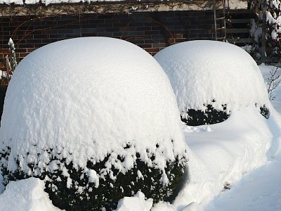 Býval sníh o vánocích