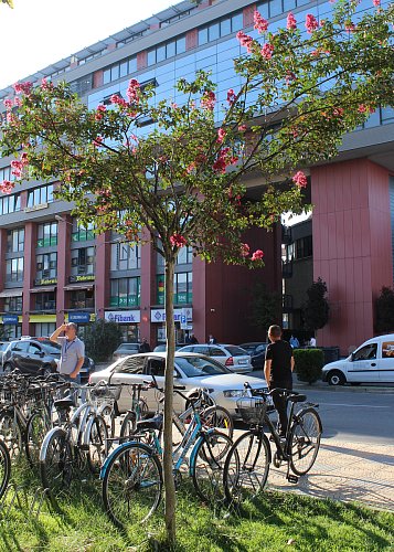 Kola na každém rohu