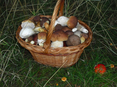 Můj seniorský život