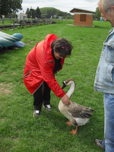 Můj seniorský život