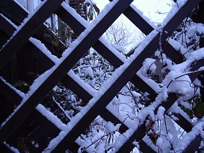 Černobílá mříž...