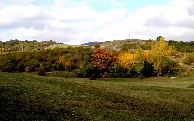 Cestou na podzimní Bílé stráně *