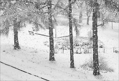 Prázdné lavičky ...