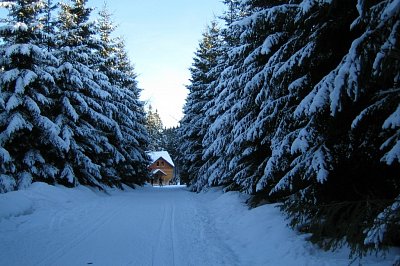 Odměna bude sladká. Nebo hořká ?
