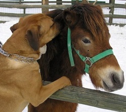 Co je šeptem, to je čertem