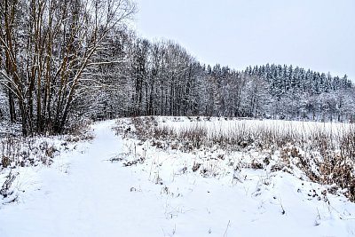 Zasněžená pěšina na hrázi rybníka.