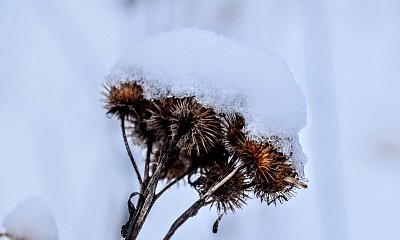 Děkuji za čepičku.