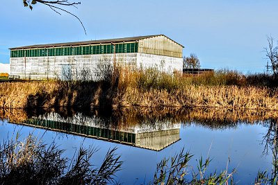 Jedna na suchu, jedna ve vodě.