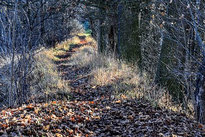 Osvětlená pěšina na hrázi.