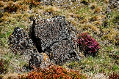 Praskající skála a vřesovec...CHKO Slavkovský les