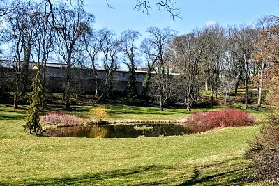Jezírko v zámecké zahradě...CHyše