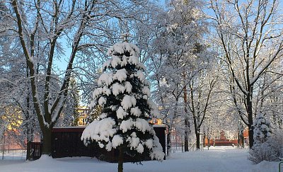 Zima značky "Ideál"
