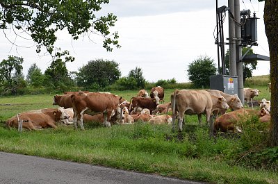 Nerušit - máme siestu
