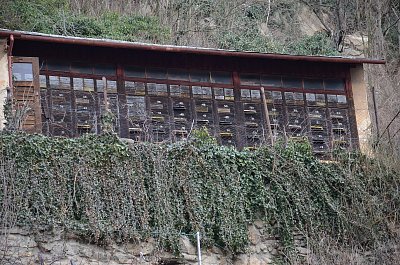 Tady bydlí asi jen včelky