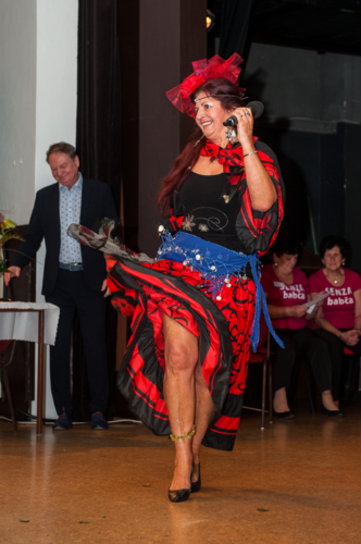 Senzababča  desetiletí 2017