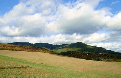 Léto zemi sluší, vždy mám slunce v duši