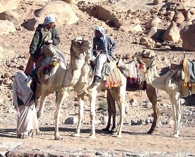 Velbloudáři před klášterem svaté Kateřiny *
