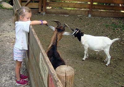 Děvčátko a koza
