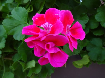 V listopadu jako v létě