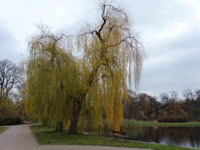 Ač smuteční, potěší