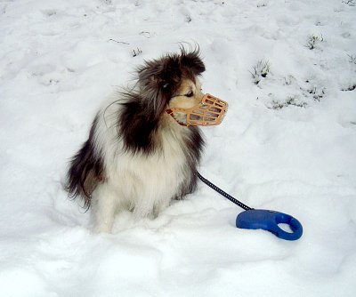 Zimní procházka s malou kamarádkou