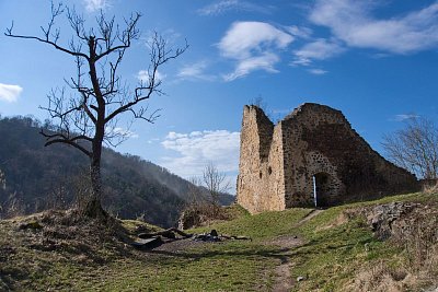 Zřícenina hradu Týřov