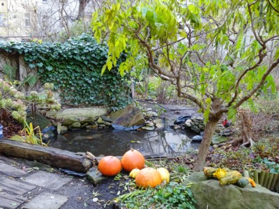 Půvabná i v listopadu *