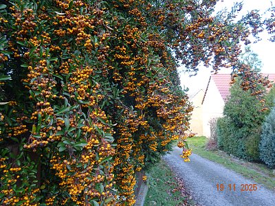 Kdo přijde první ?