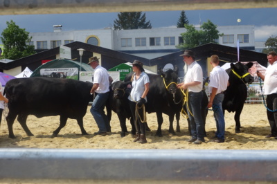 Země Živitelka 2018