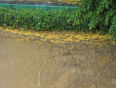 Déšť pro osvěžení