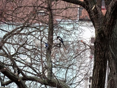 Pohled z okna mého bytu