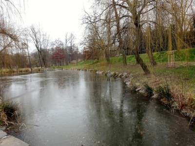 Stromovkové zrcadlení