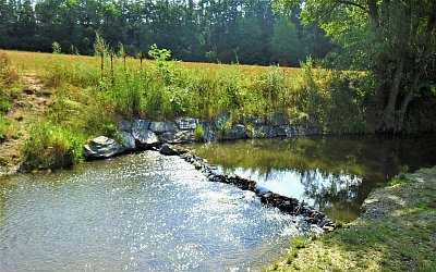 Stříbropěnný Botič