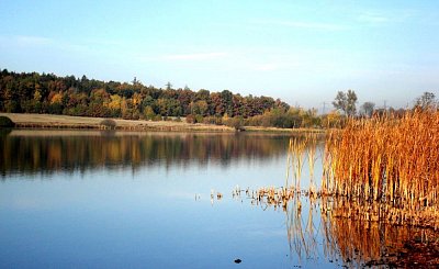 Už se ten tálínskej rybník nahání