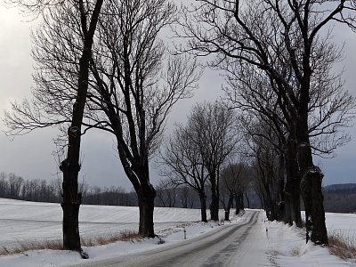 Čekání na sluneční den