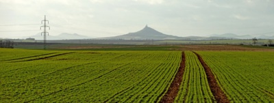 Zelené Hromnice - bílé velikonoce.